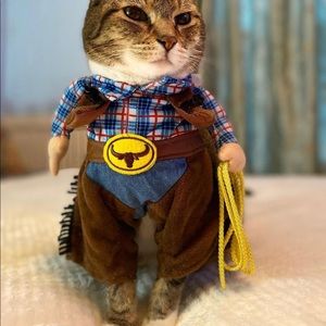 ☺️☺️☺️🐈🐈❤️